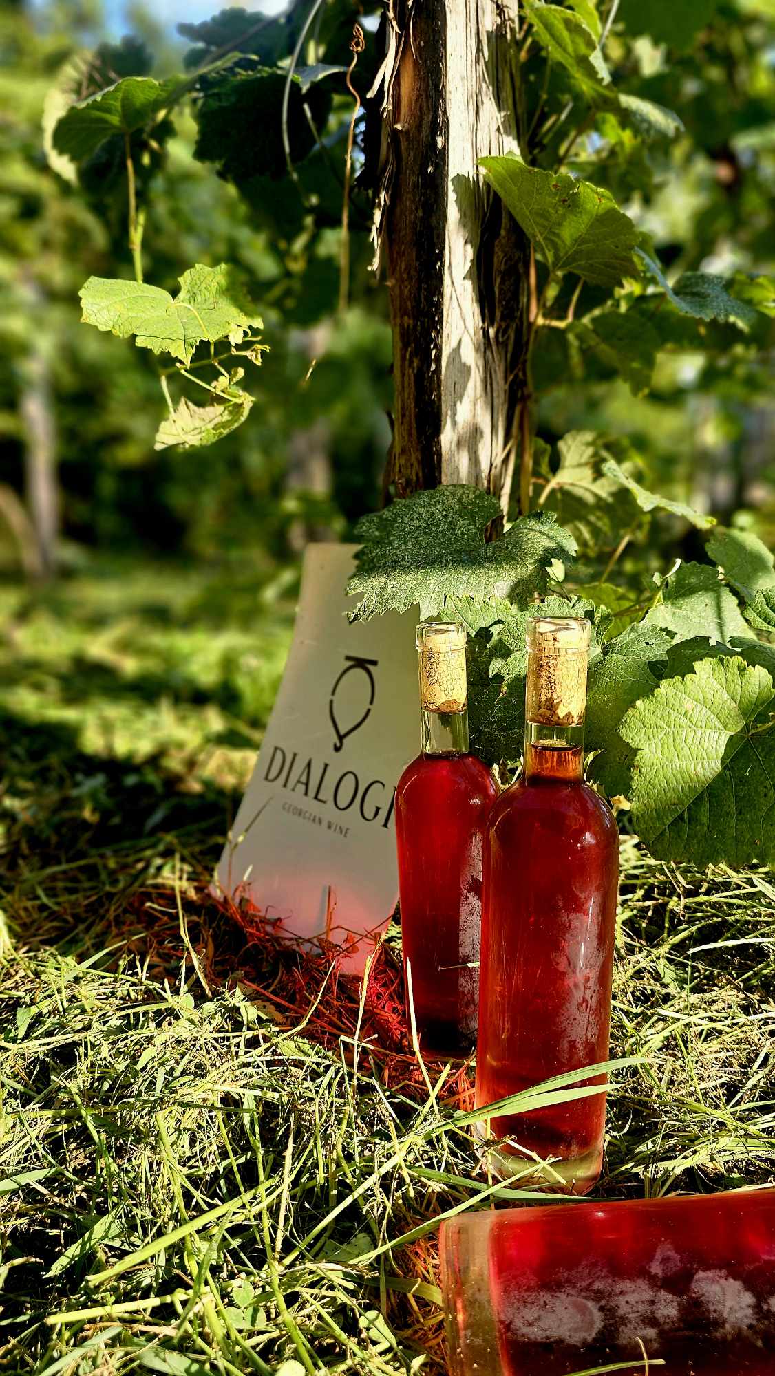 Featured Wine